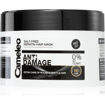 Delia Cosmetics Cameleo BB masca cu keratina pentru par deteriorat - imagine 2